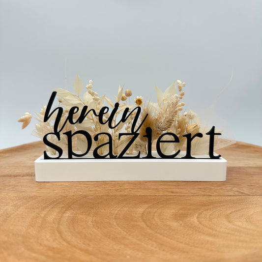 "hereinspaziert" Einschieber