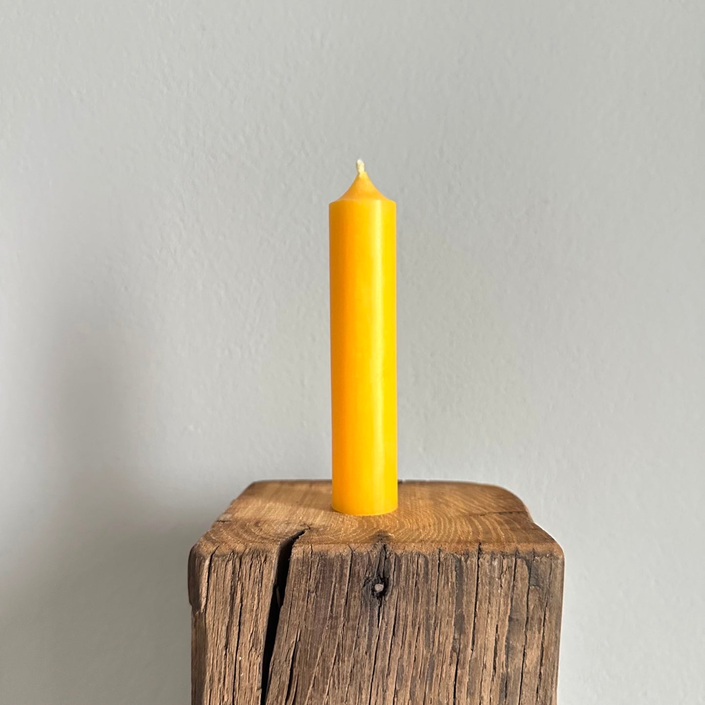 Stabkerzen Herbst Edition kurz