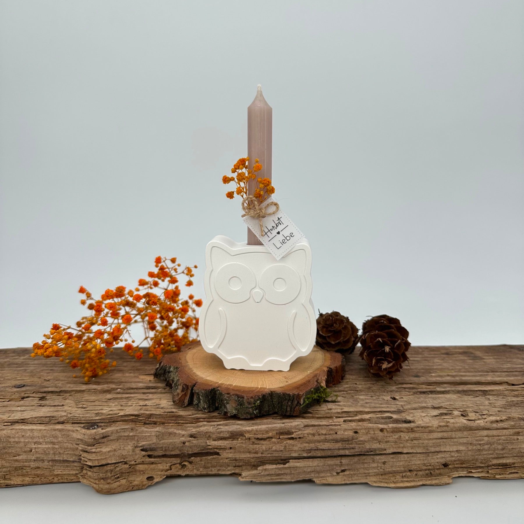 Eule Baumkerzenhalter – Tommy's Molds