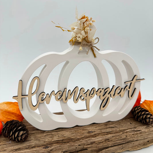 Kürbis Silhouette XXL