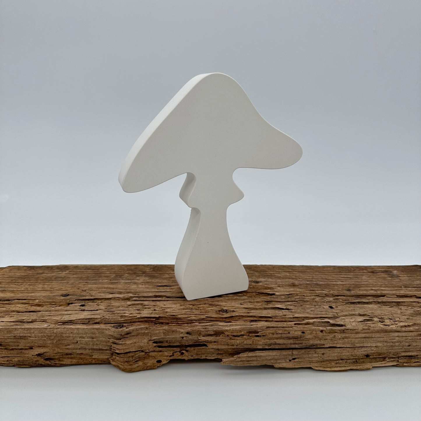 3er Pilz Set
