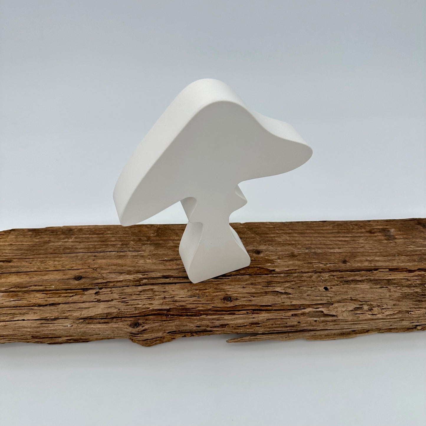 Pilz Nr.8