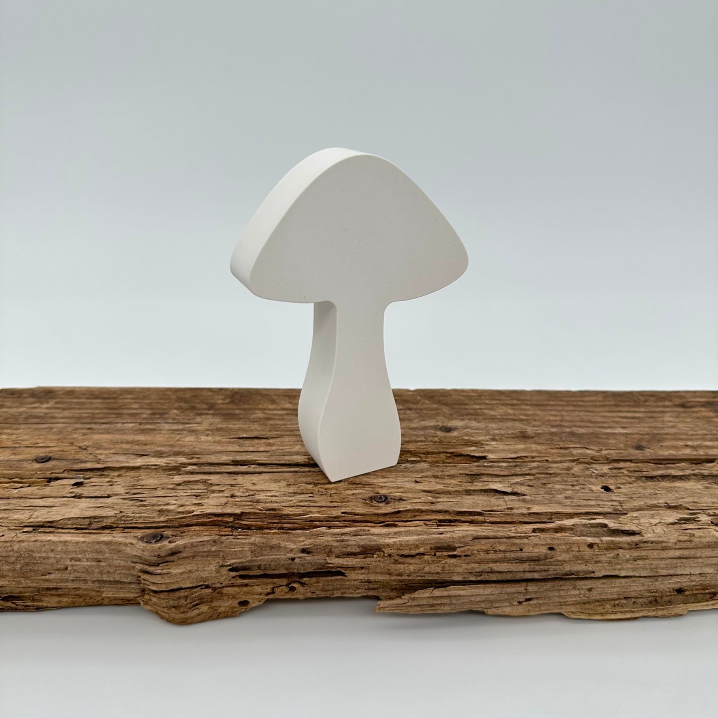 5er Pilz Set