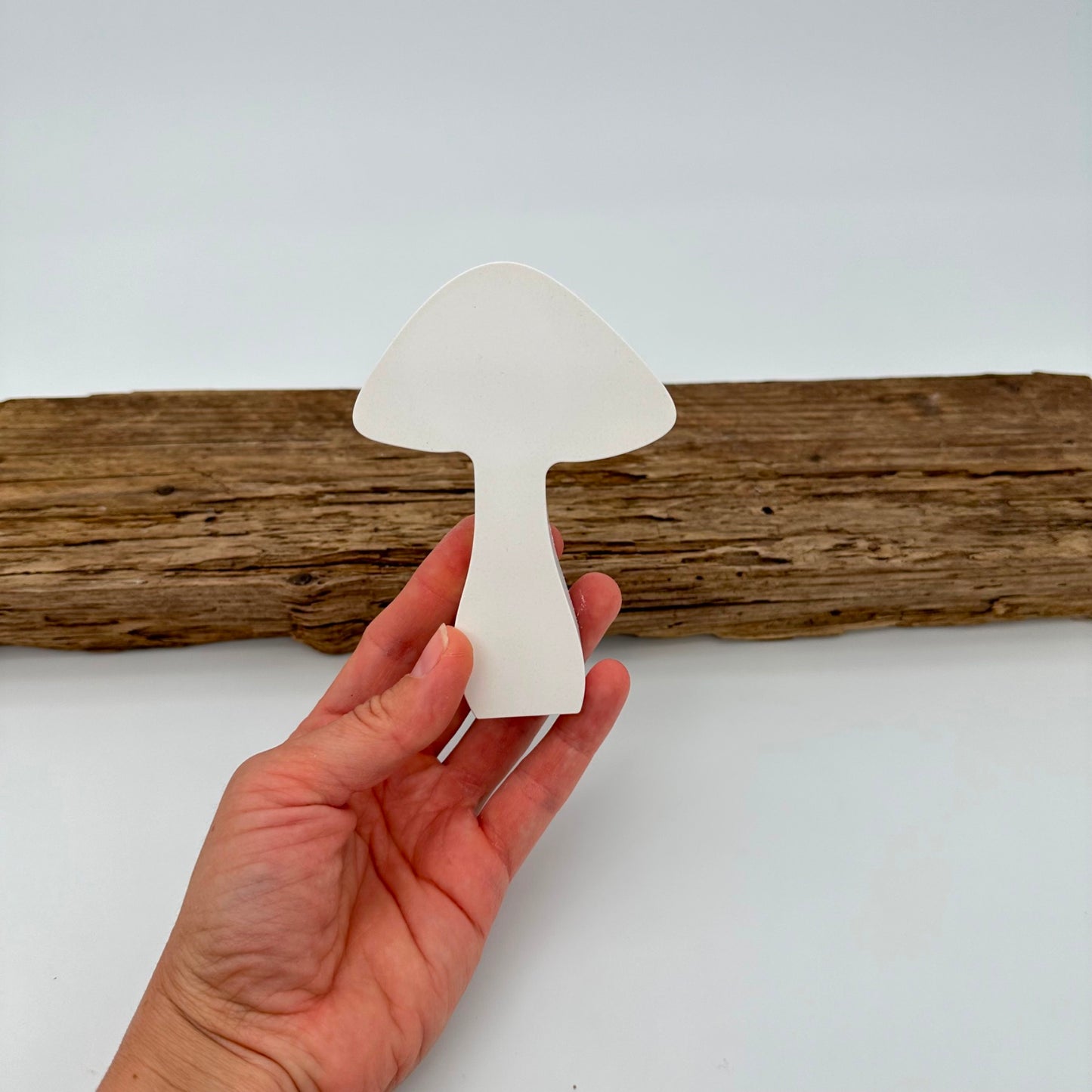 Pilz Nr.1