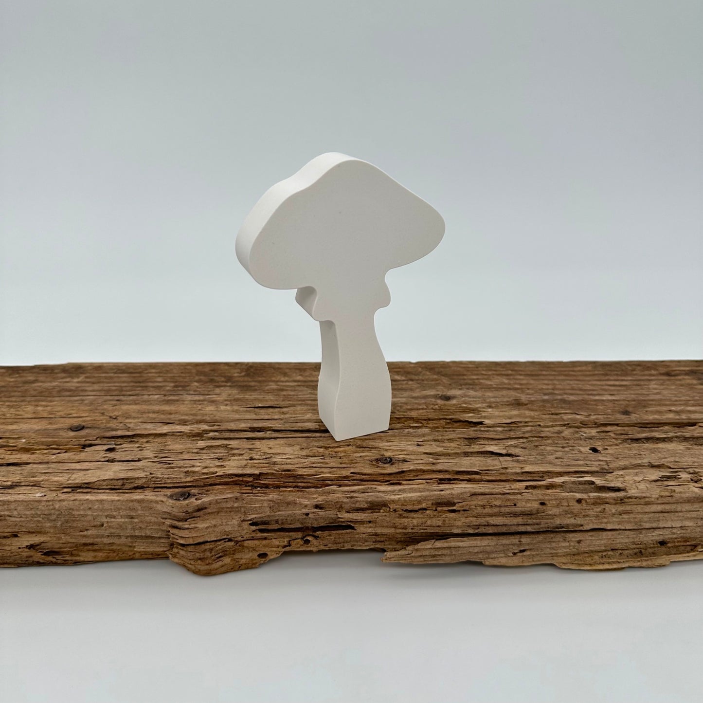 5er Pilz Set