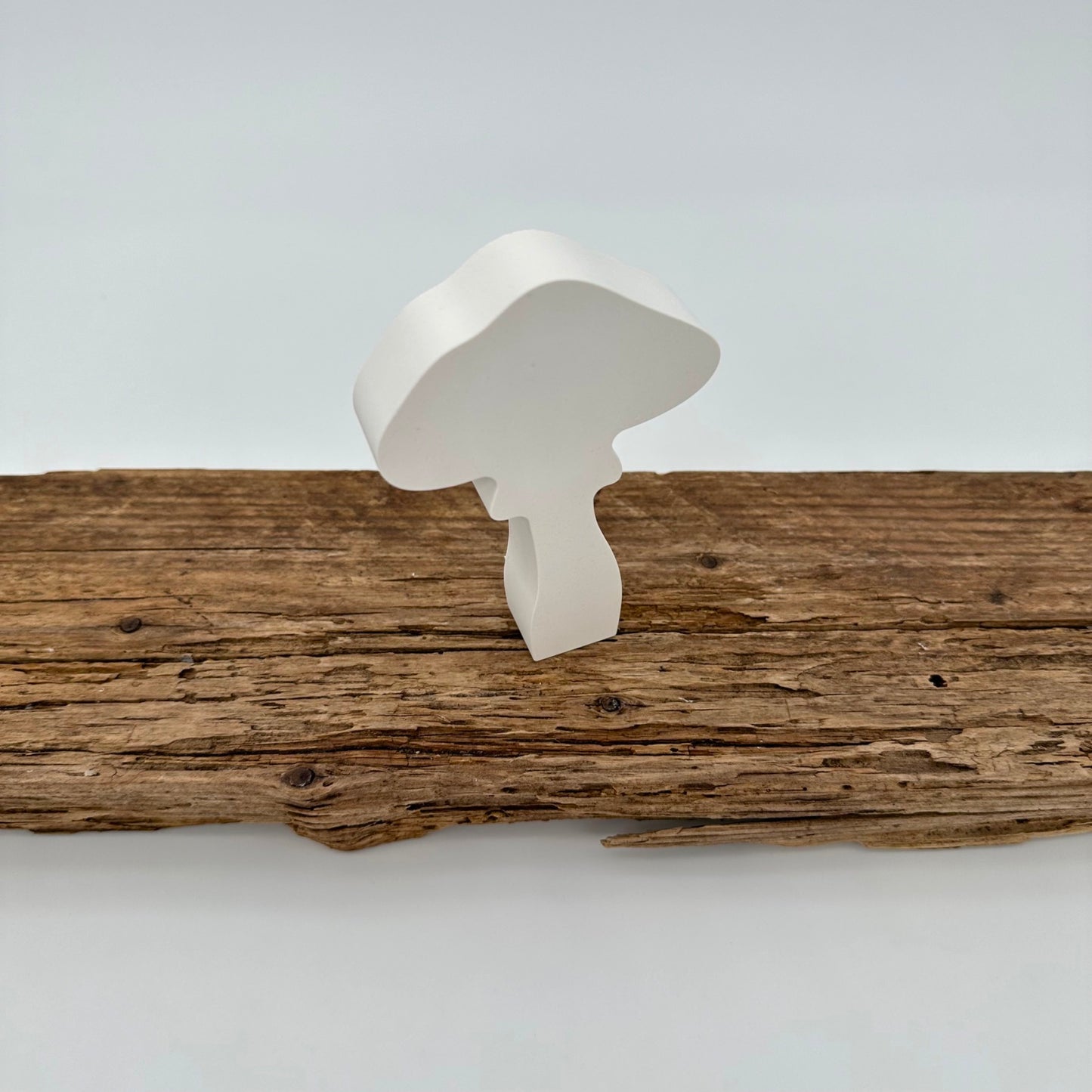 Pilz Nr.4