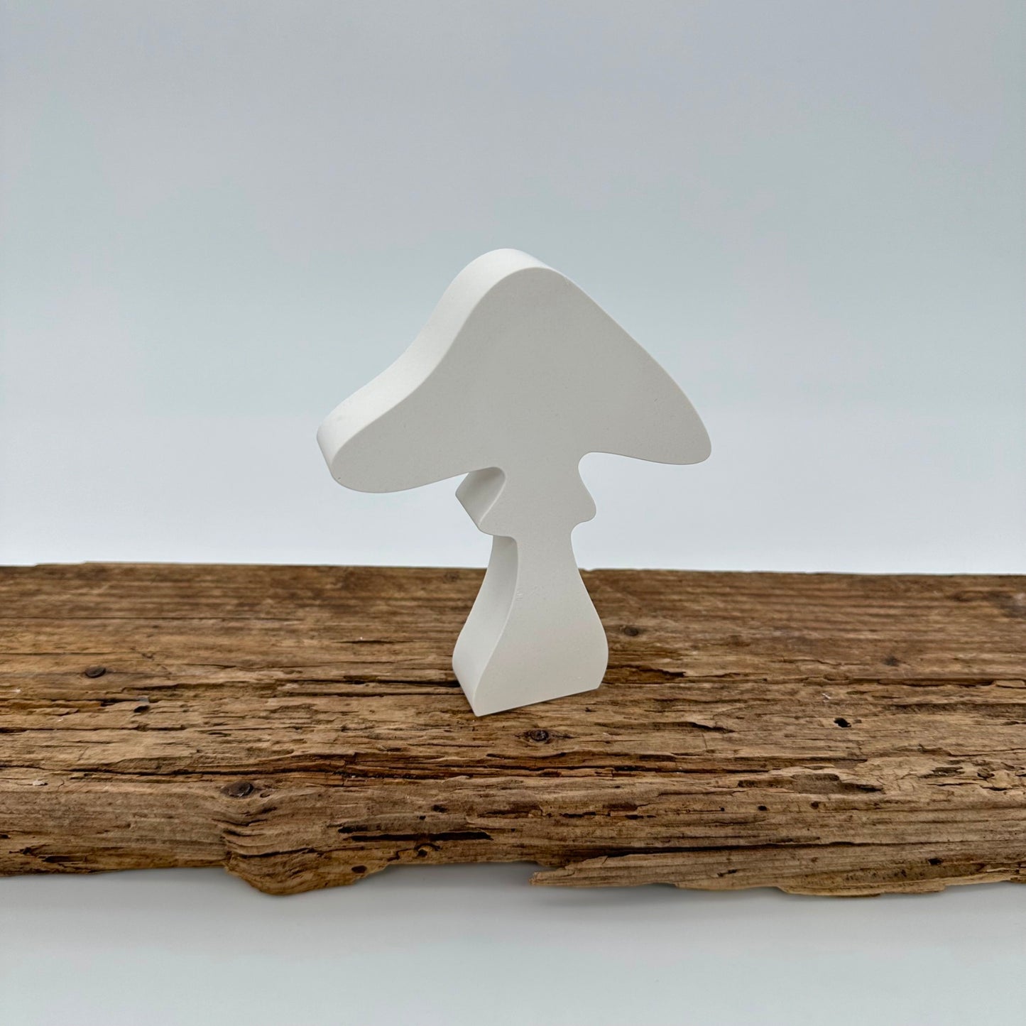3er Pilz Set