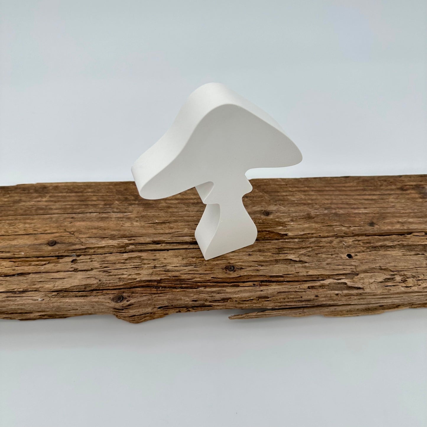 Pilz Nr.6