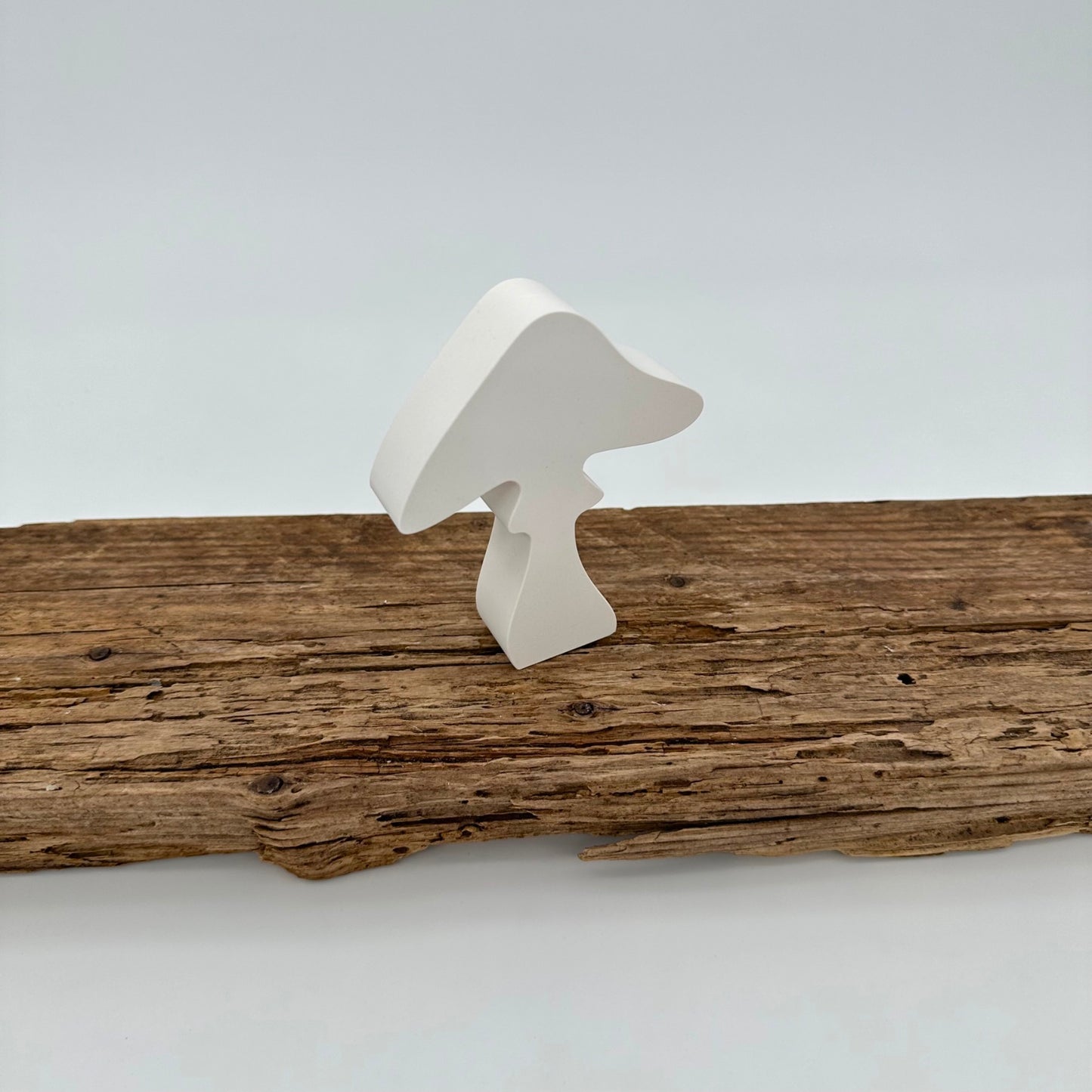 Pilz Nr.7