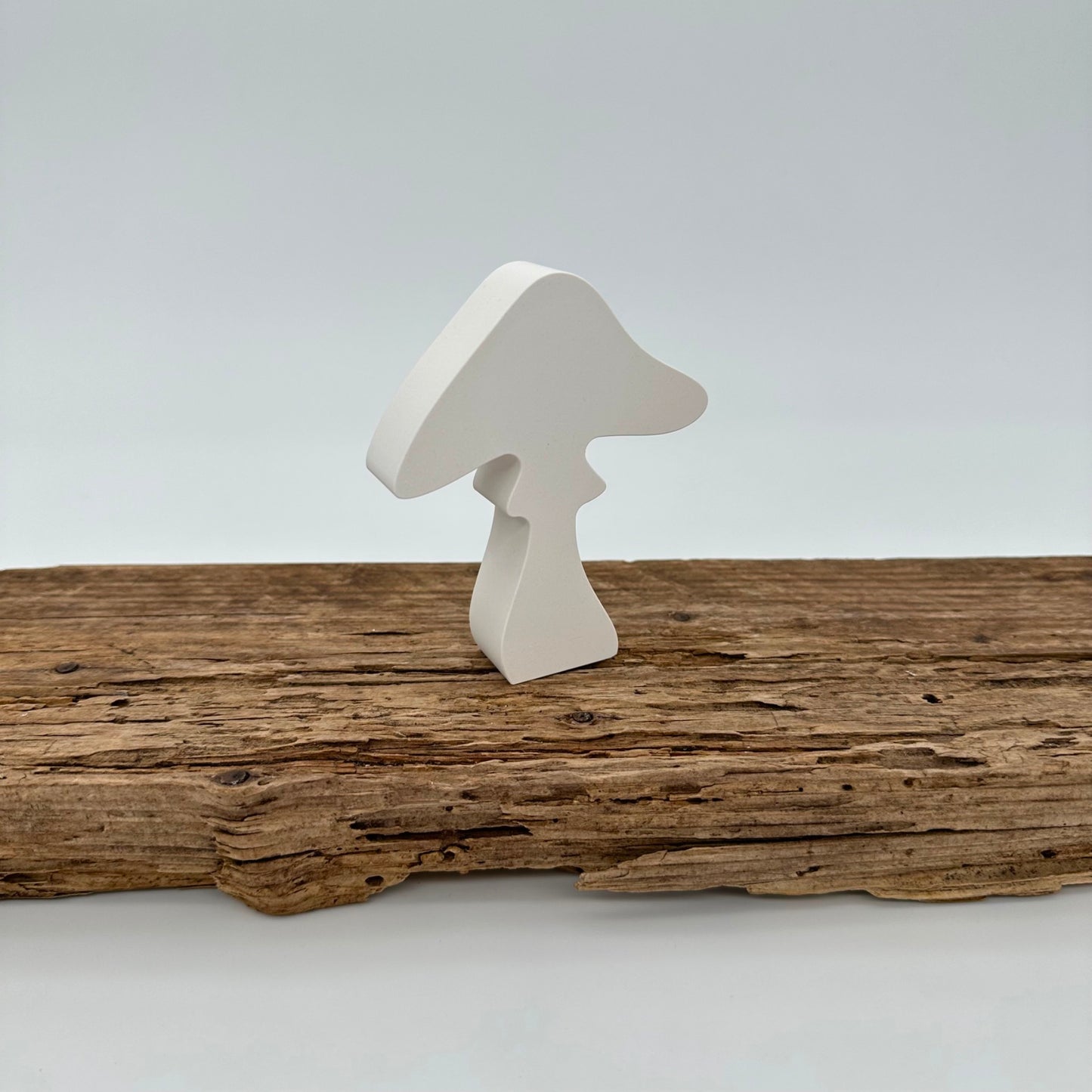 3er Pilz Set