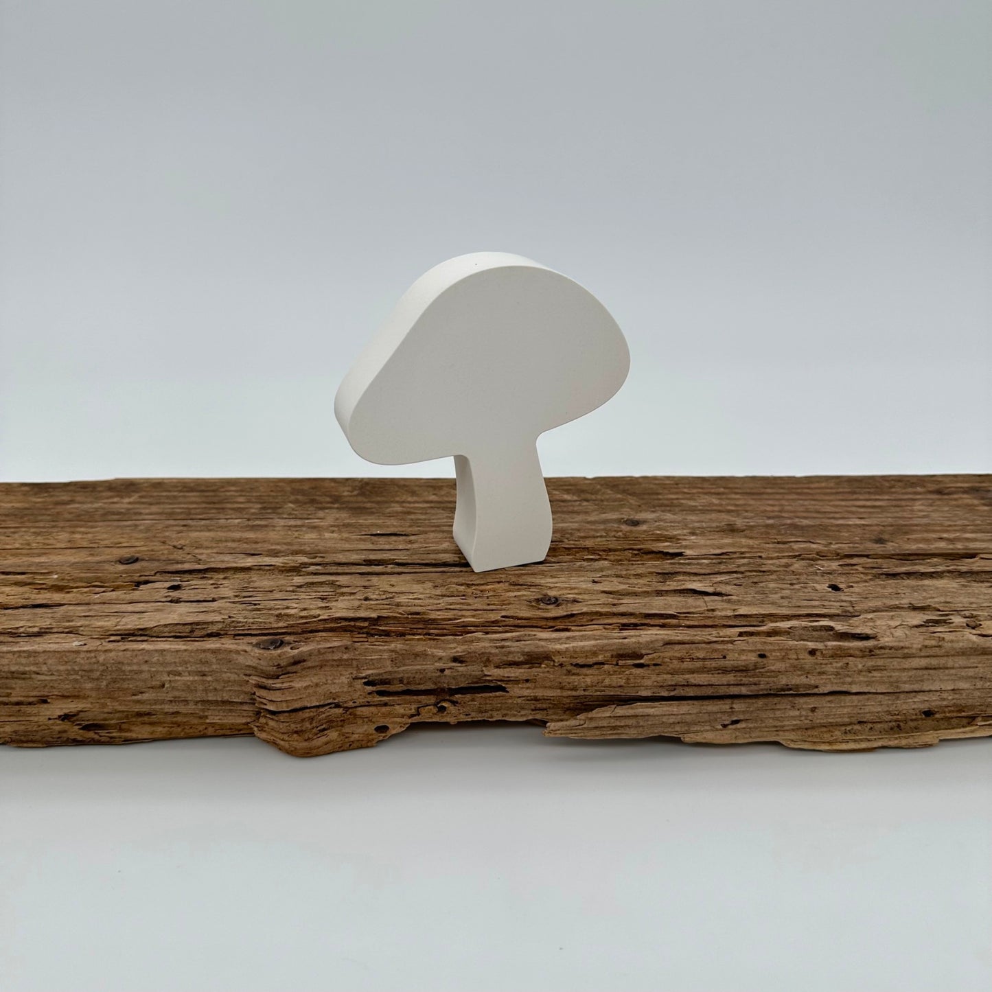 5er Pilz Set