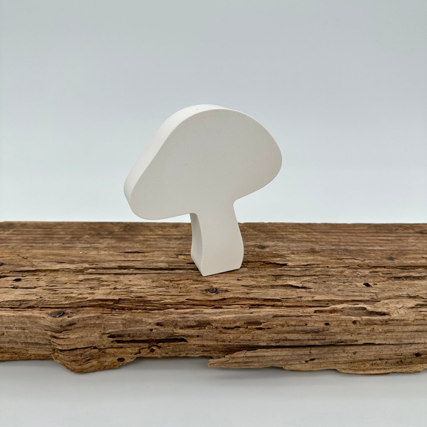 Pilz Nr.3