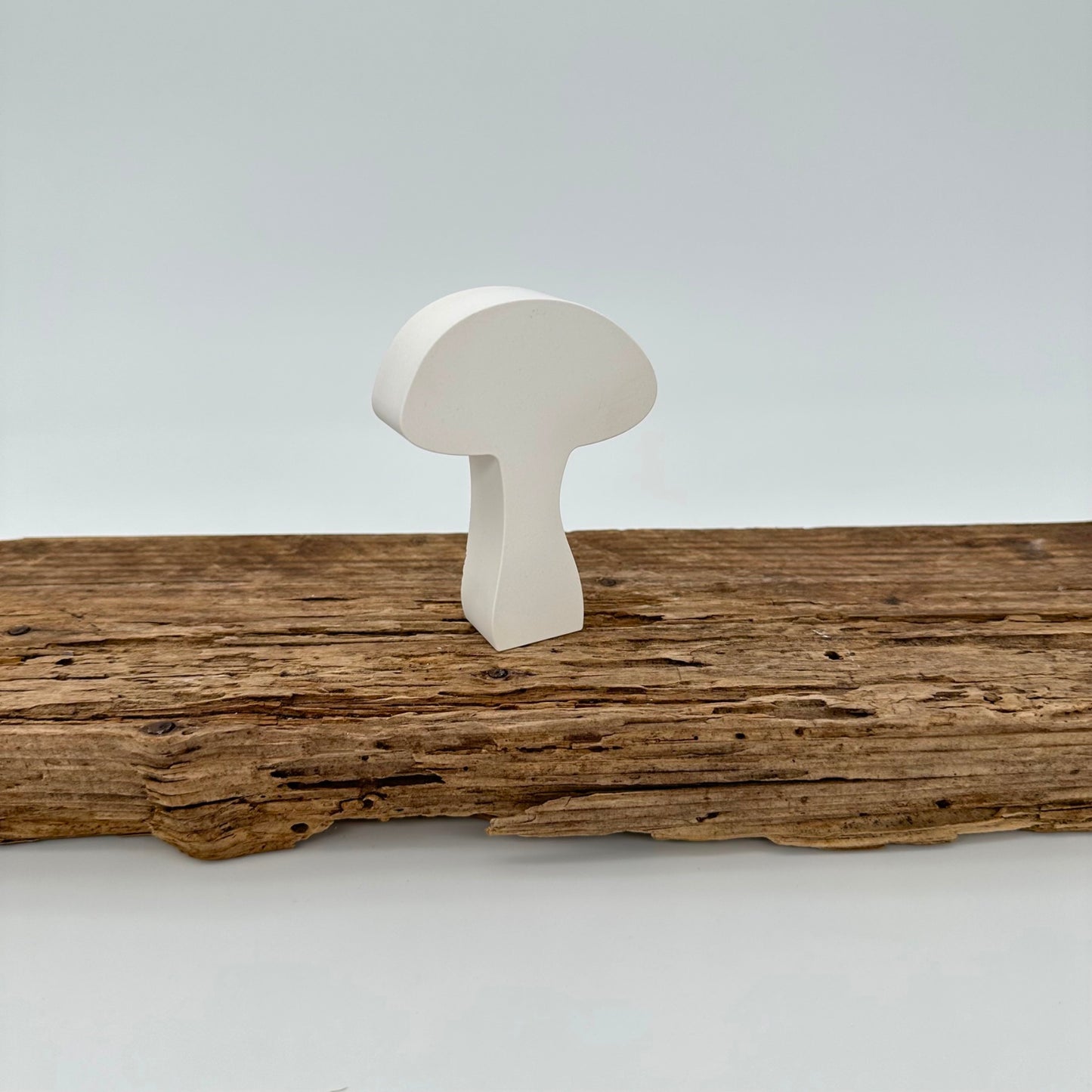 5er Pilz Set