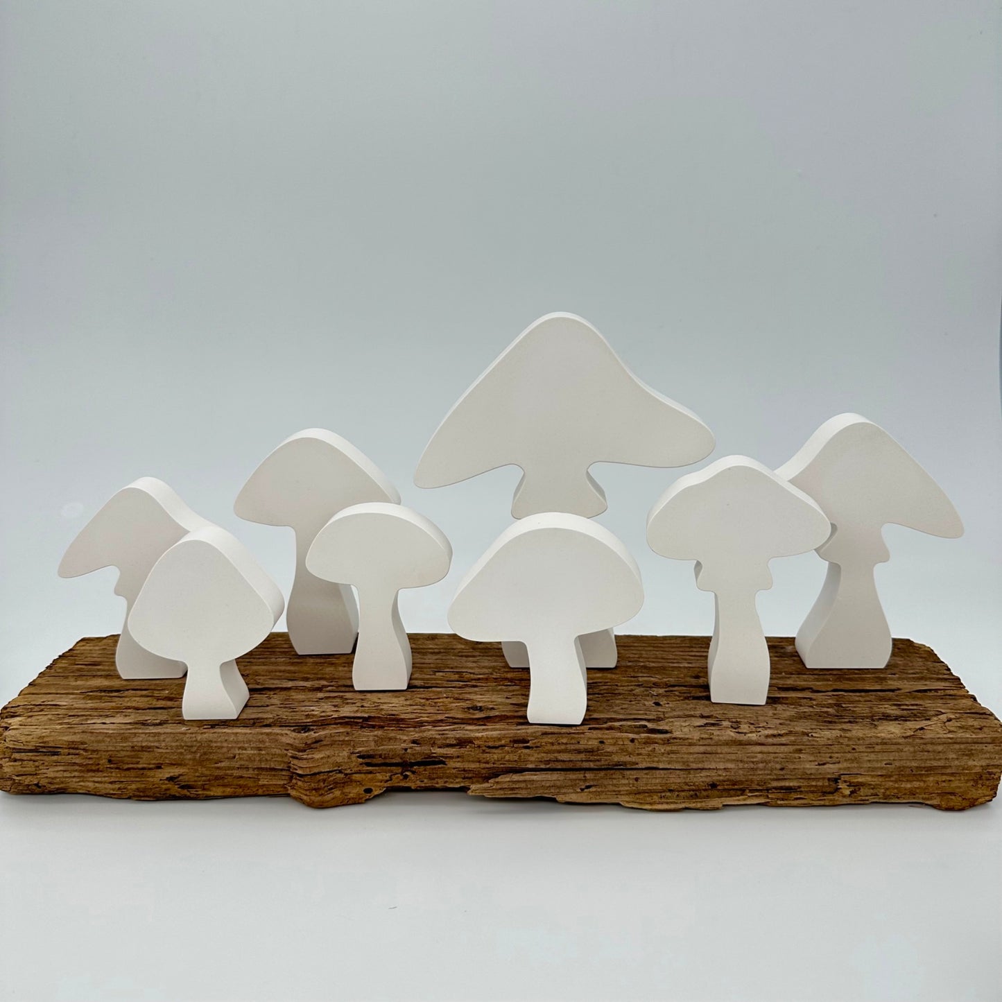 3er Pilz Set