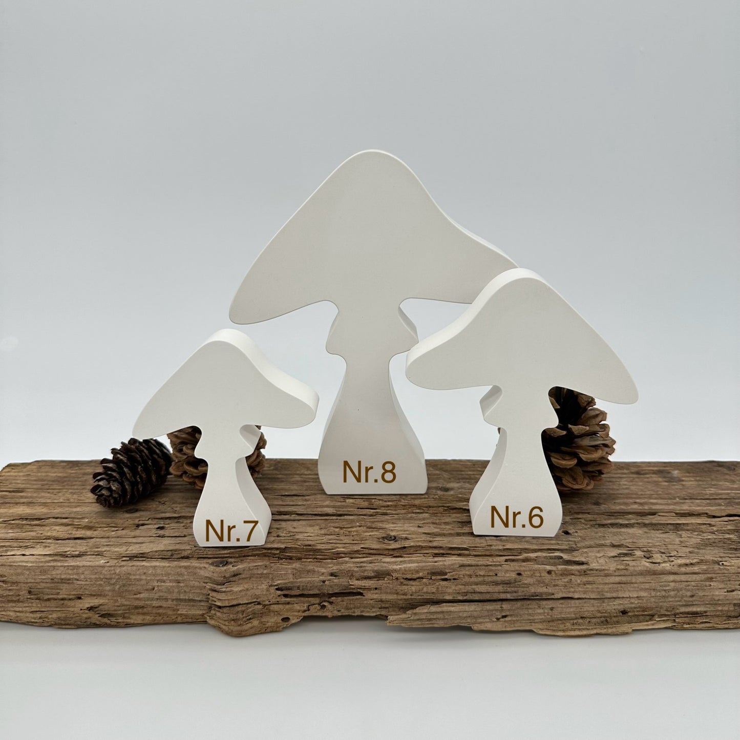 3er Pilz Set