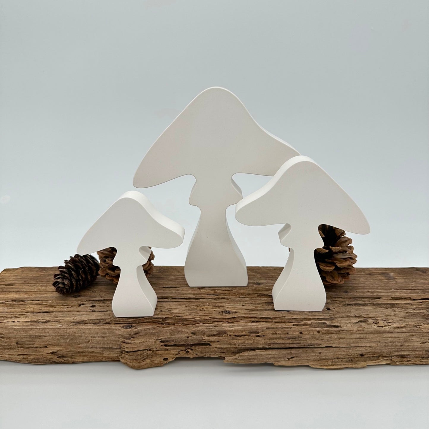 Pilz Nr.6