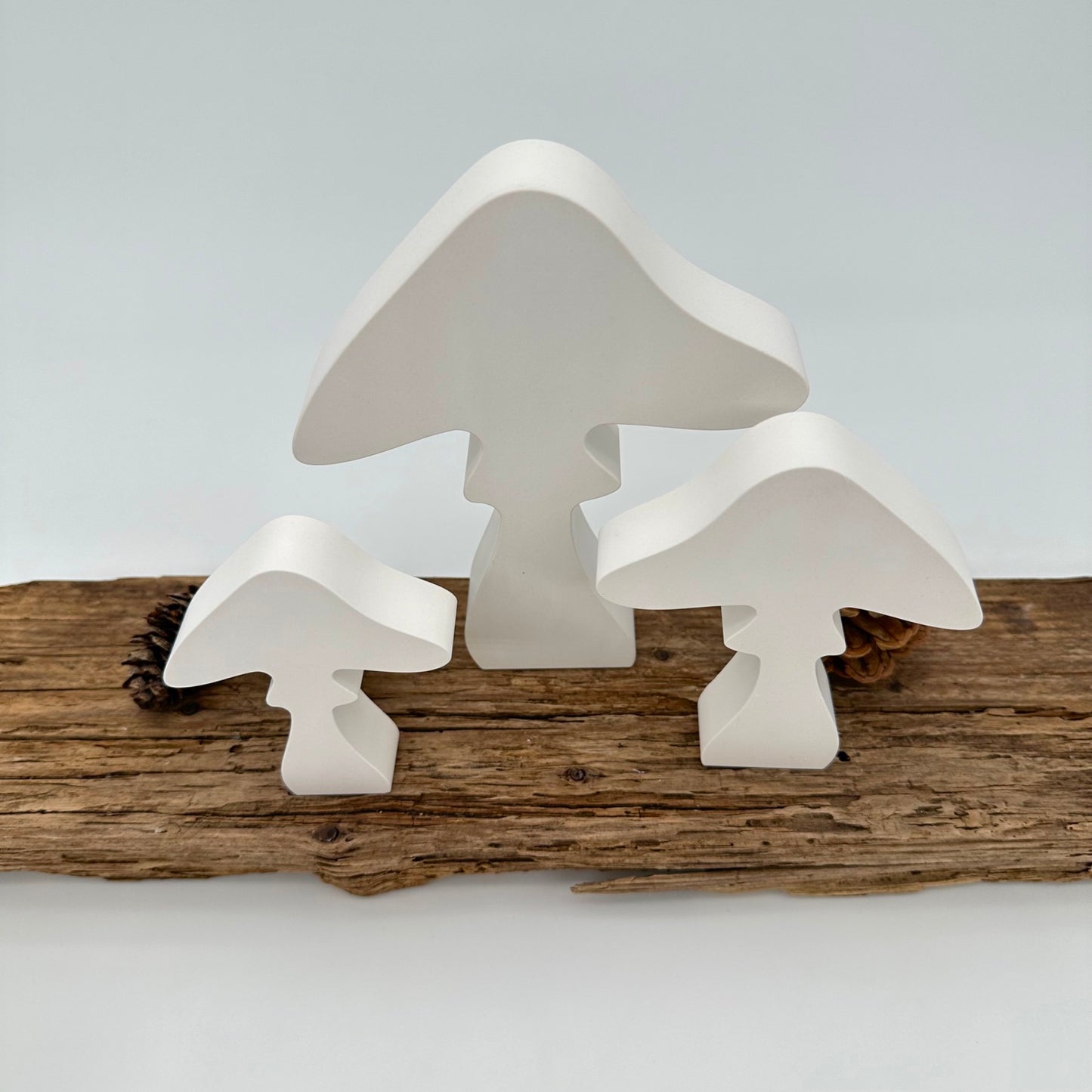 3er Pilz Set