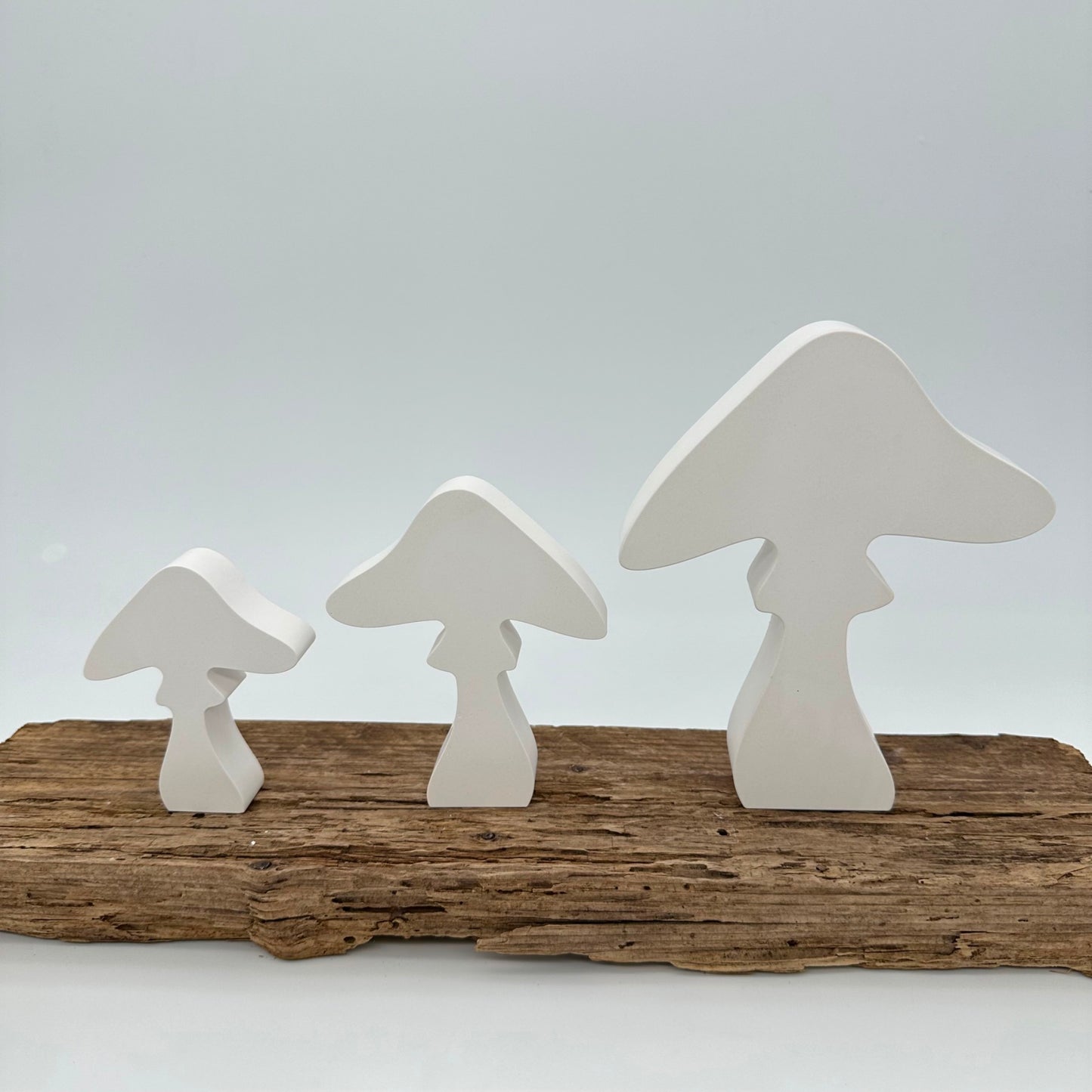 3er Pilz Set