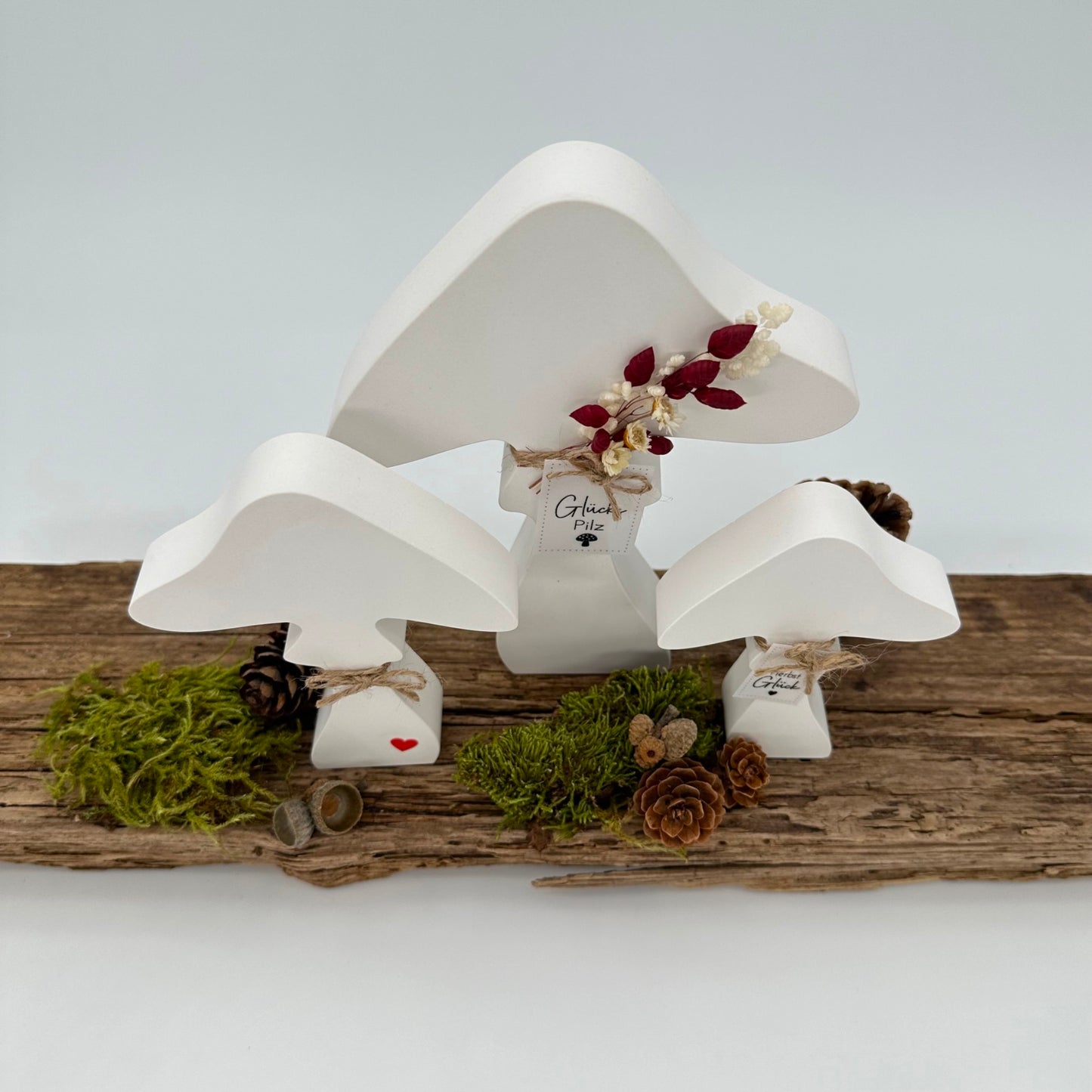 3er Pilz Set