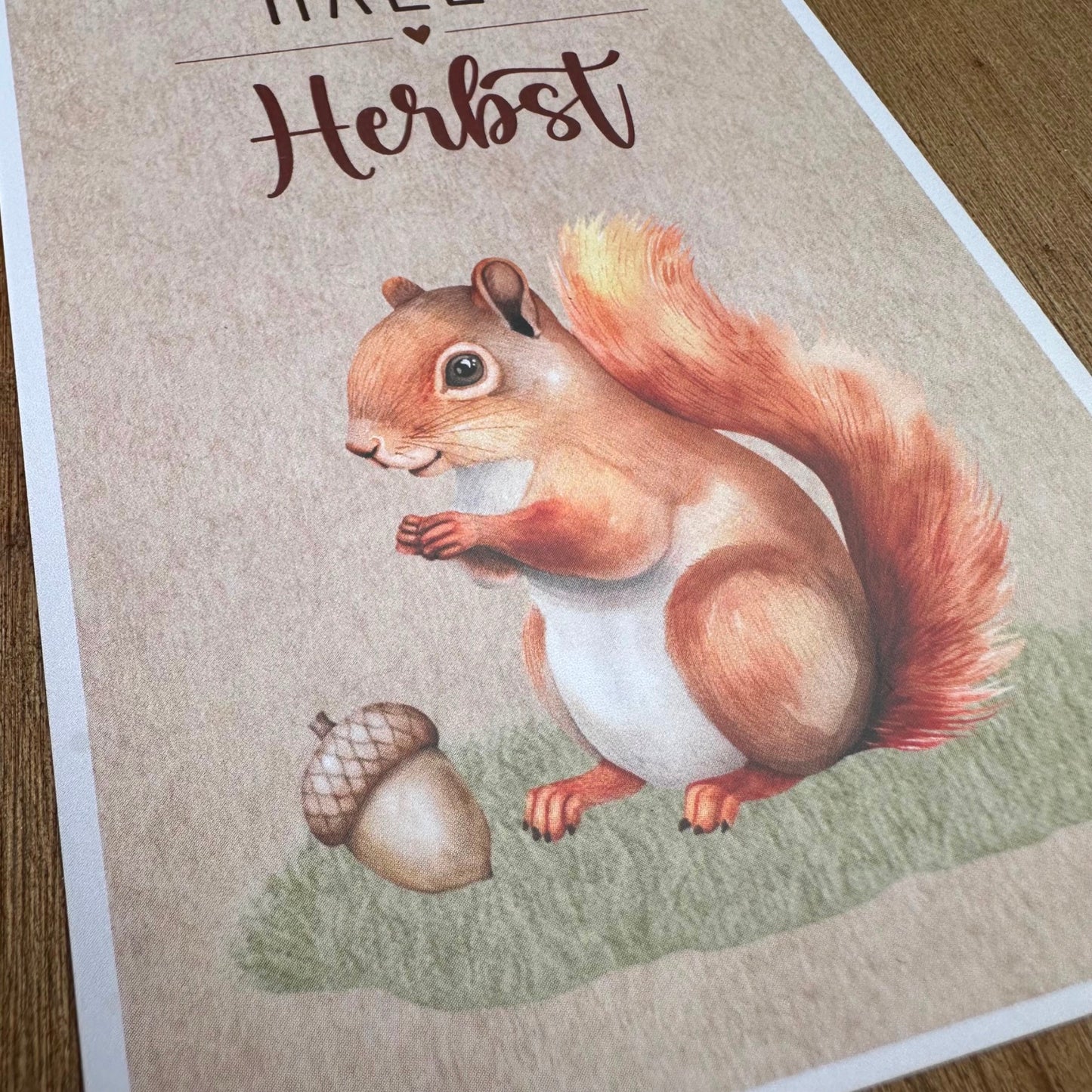 Hallo Herbst - Eichhörnchen