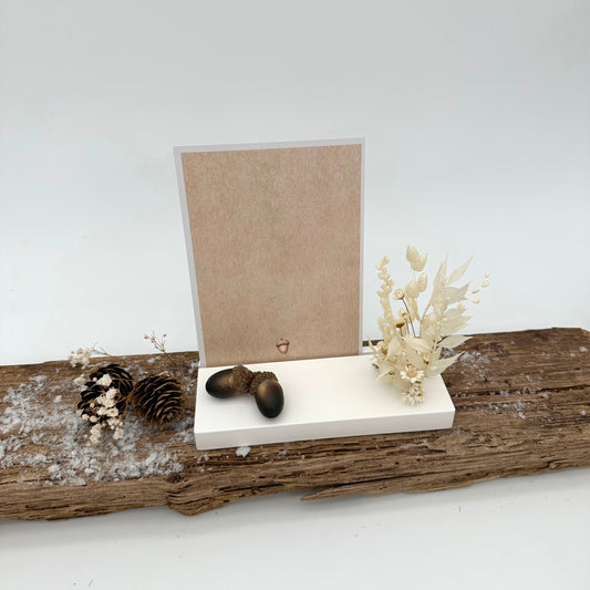 Hallo Herbst - Eichhörnchen