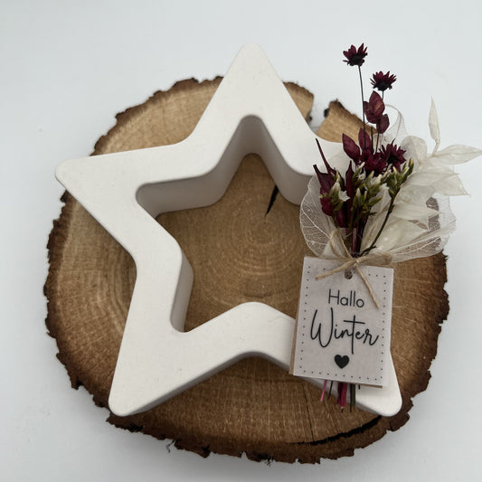 Stern Silhouette groß