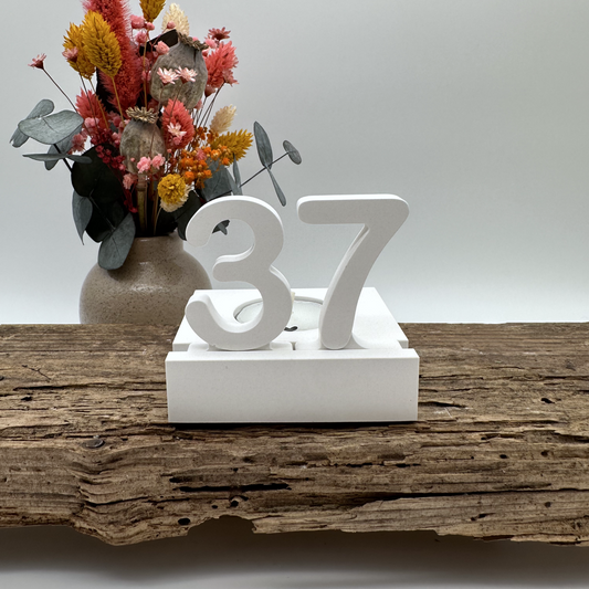 Einschieber Zahlen 0 bis 9