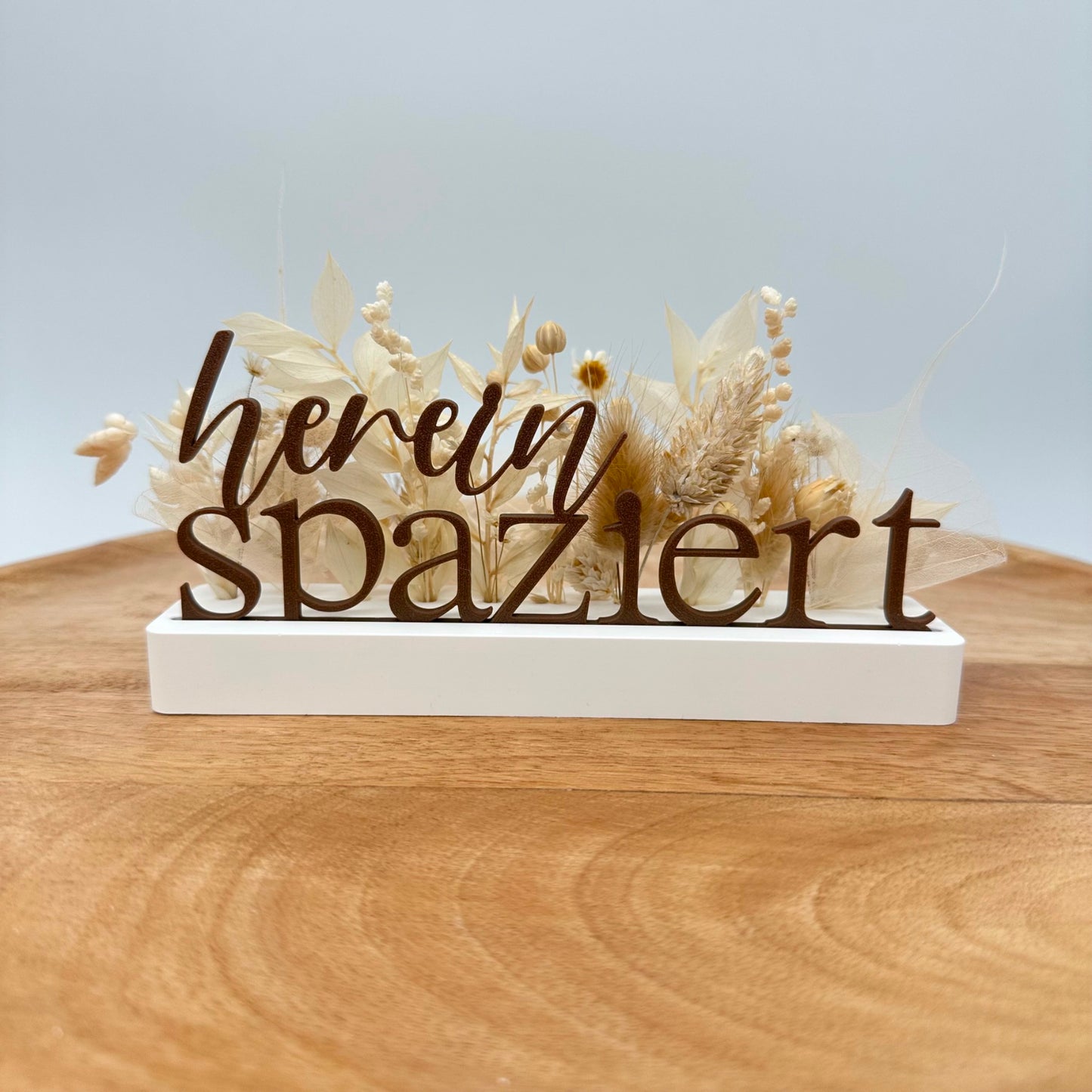 "hereinspaziert" Einschieber