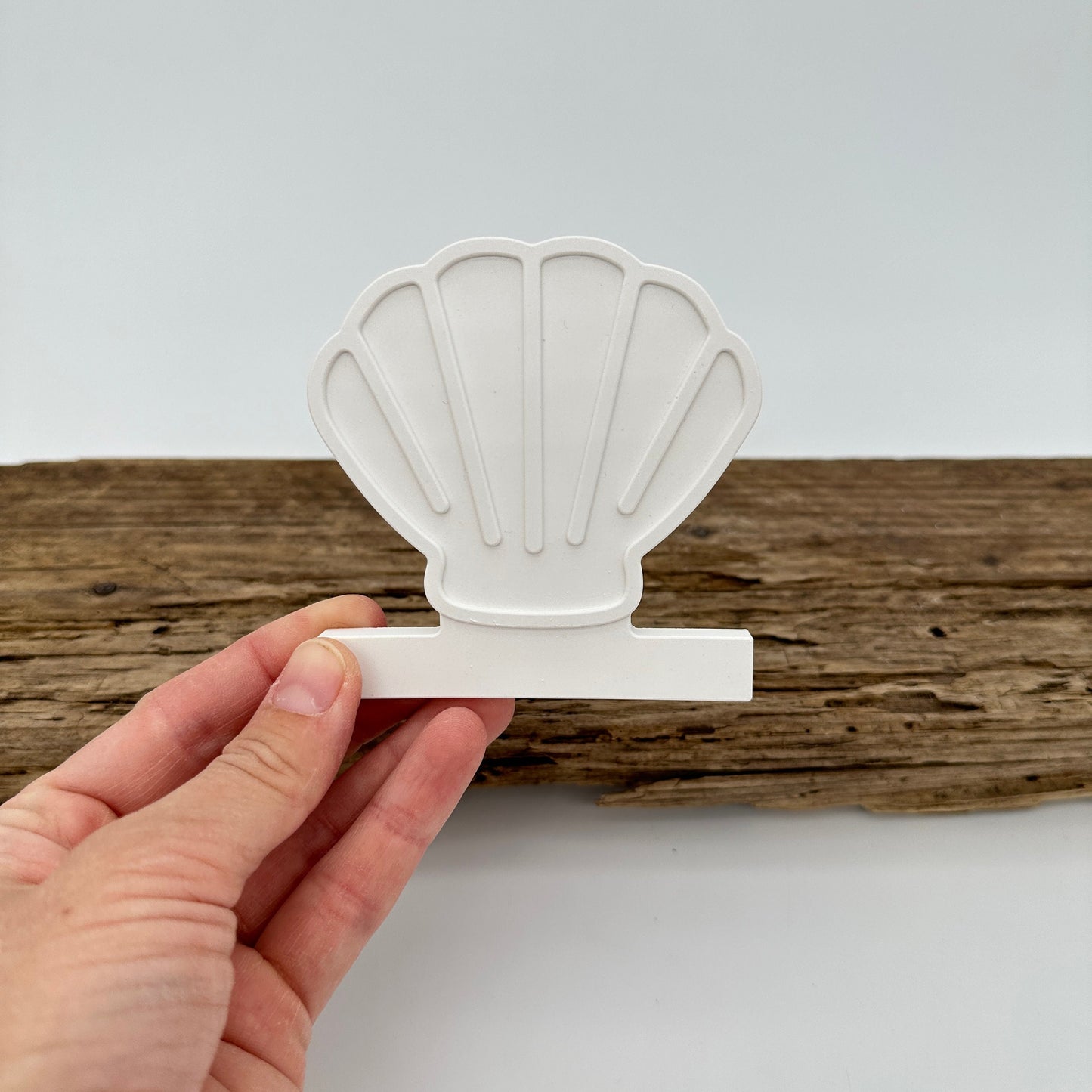 Einschieber Muschel kurz