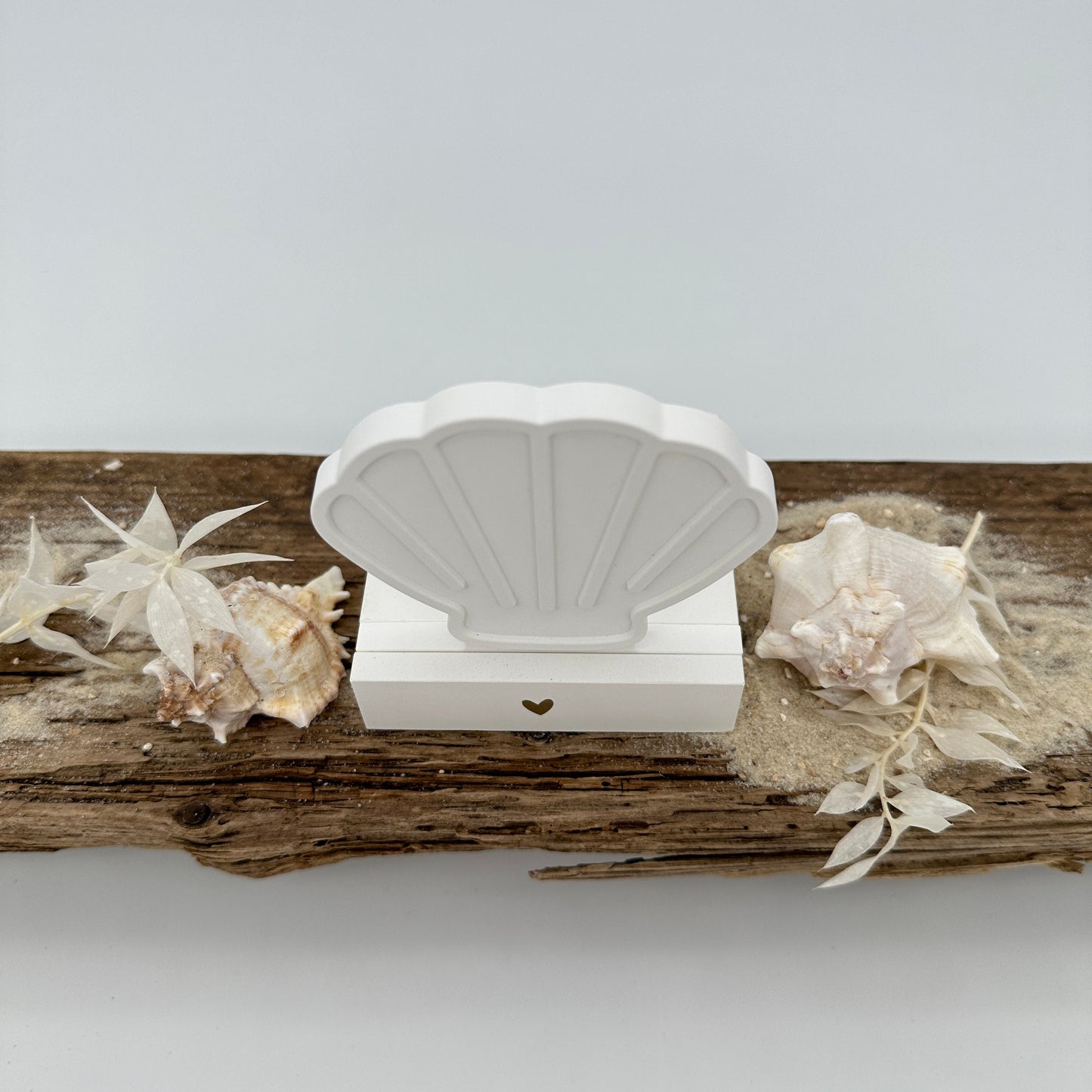 Einschieber Muschel kurz