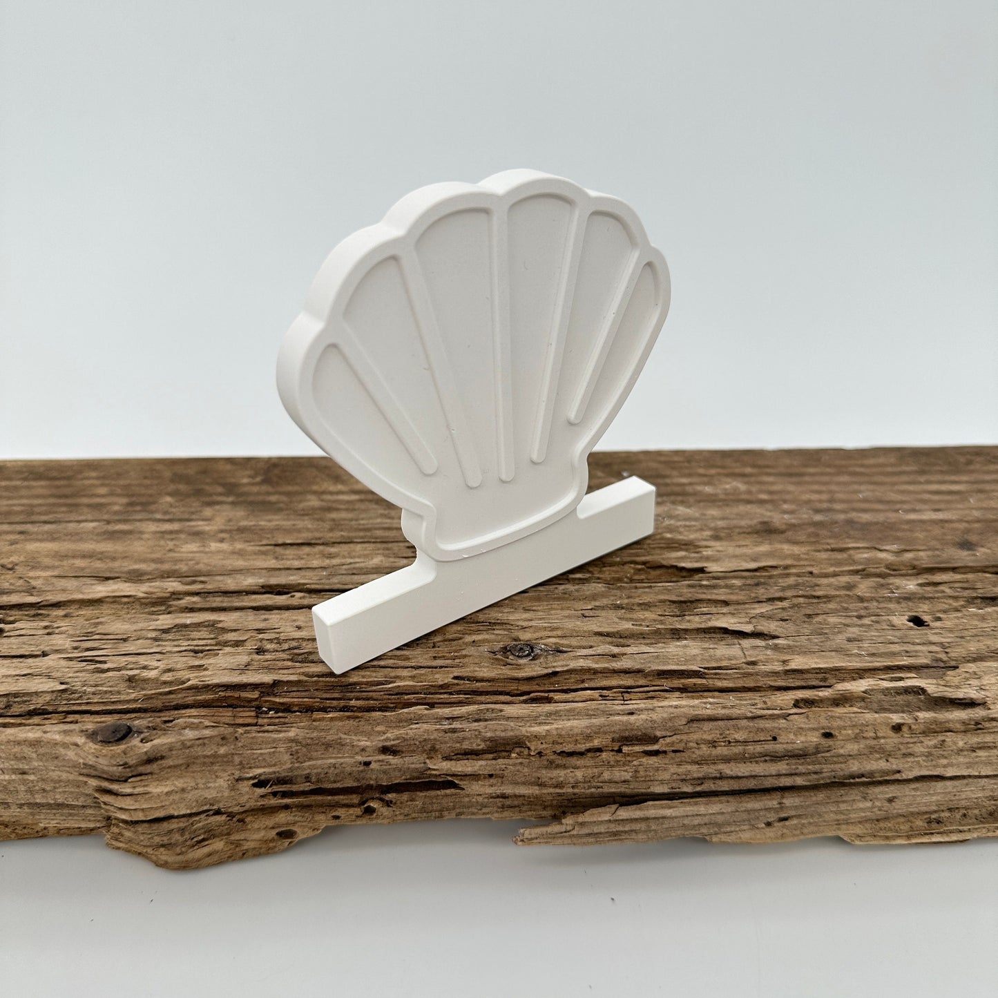 Einschieber Muschel kurz