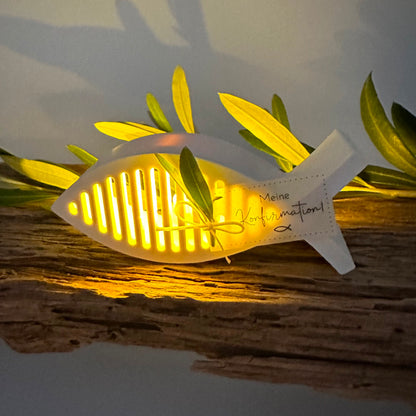 Fisch mit Streifen Ballonlichthalter