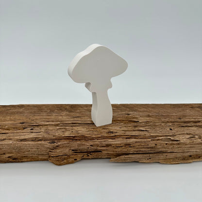Pilz Nr.4