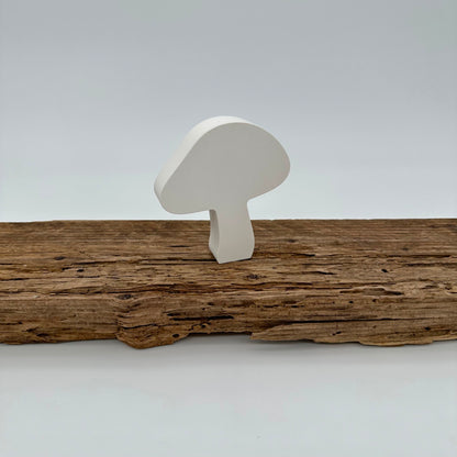 5er Pilz Set