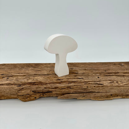 Pilz Nr.5