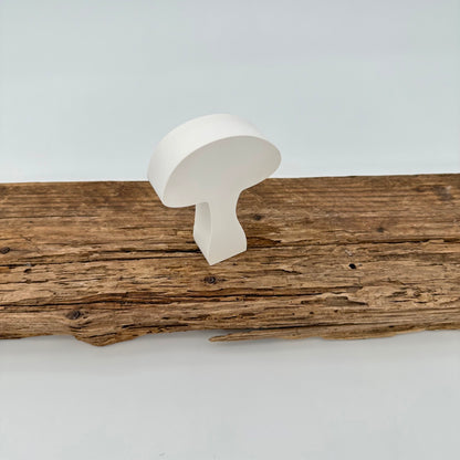Pilz Nr.5