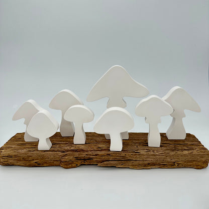 Pilz Nr.3