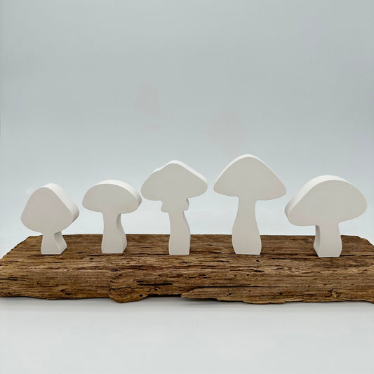 5er Pilz Set