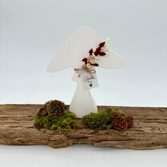 Pilz Nr.8
