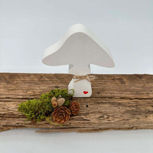 Pilz Nr.6