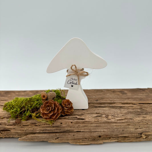 Pilz Nr.7