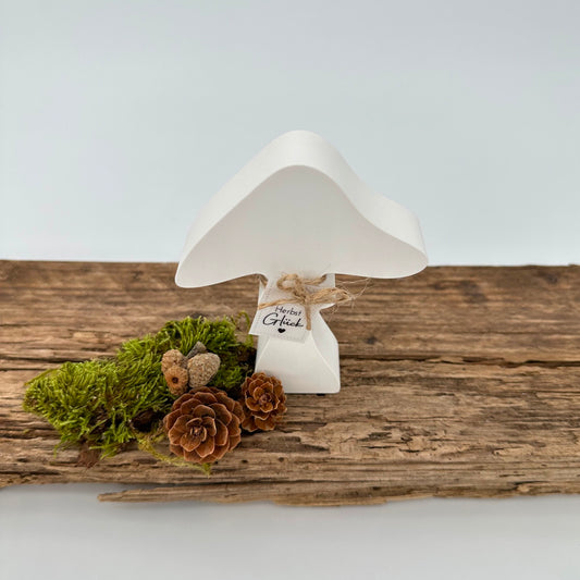 Pilz Nr.7