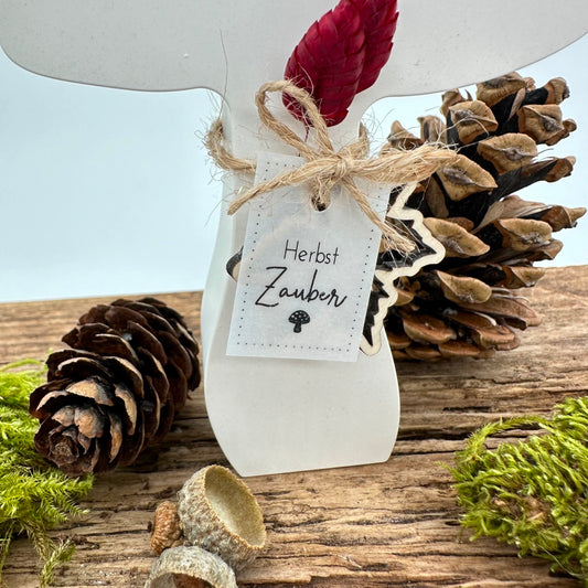 Pilz Nr.1