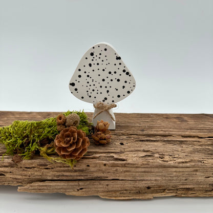 Pilz Nr.2