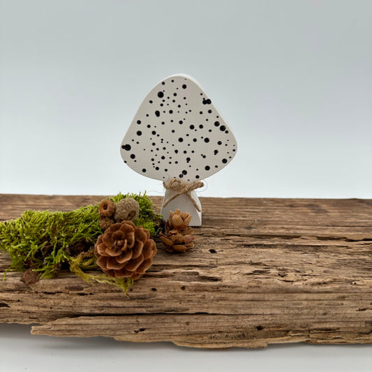 Pilz Nr.2