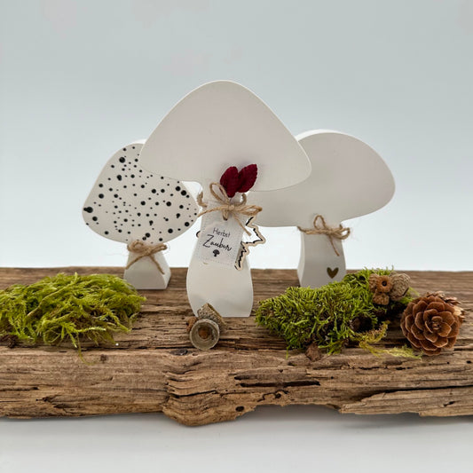 Pilz Nr.2