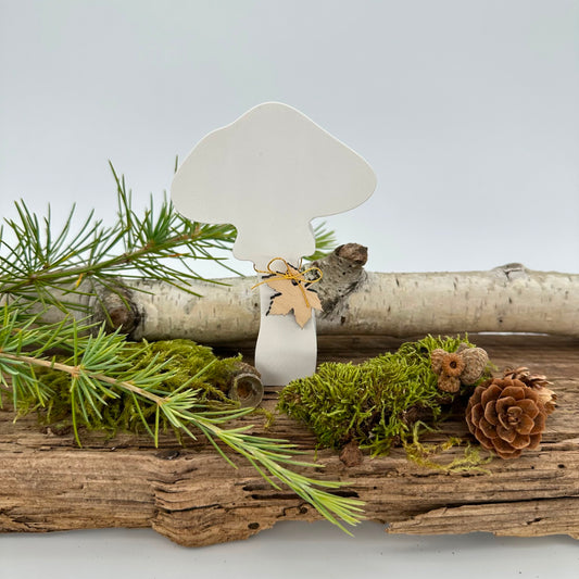 Pilz Nr.4