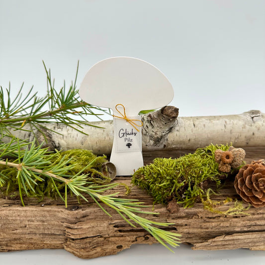 Pilz Nr.5