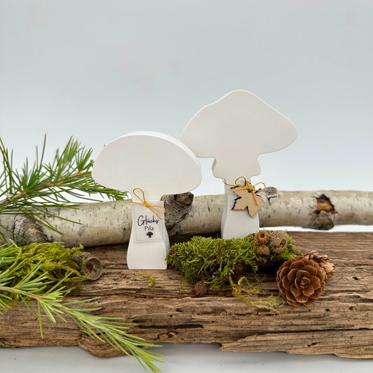 Pilz Nr.5