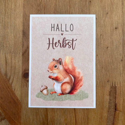 Herbstkarten Mix - 10er Set